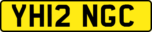 YH12NGC
