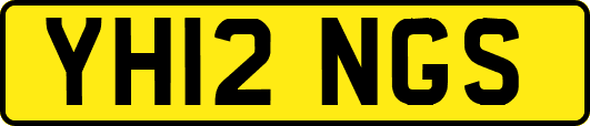 YH12NGS