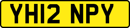 YH12NPY