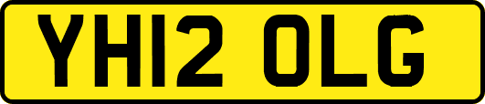 YH12OLG