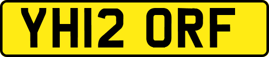 YH12ORF