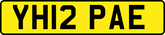 YH12PAE
