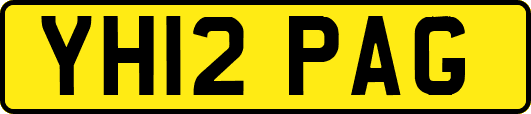 YH12PAG
