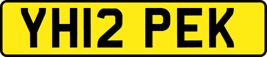 YH12PEK