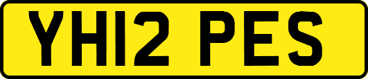 YH12PES
