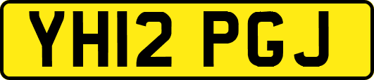 YH12PGJ