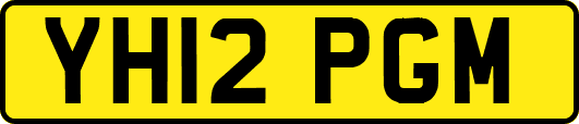 YH12PGM