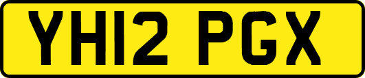 YH12PGX