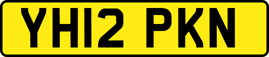 YH12PKN