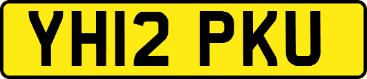 YH12PKU