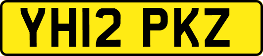 YH12PKZ