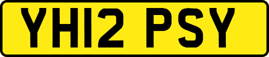 YH12PSY