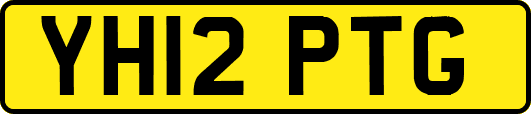 YH12PTG