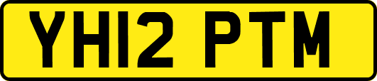 YH12PTM