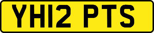 YH12PTS