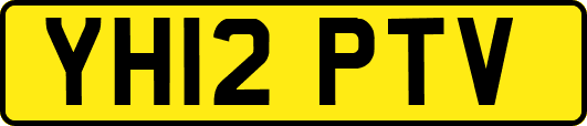 YH12PTV