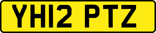 YH12PTZ
