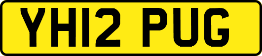 YH12PUG