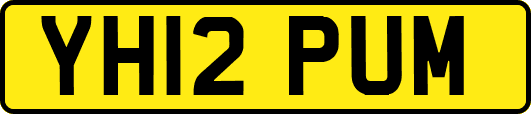 YH12PUM