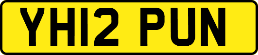 YH12PUN