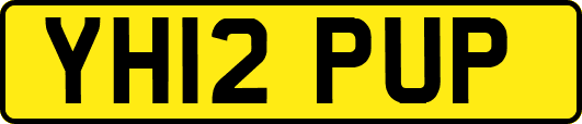 YH12PUP