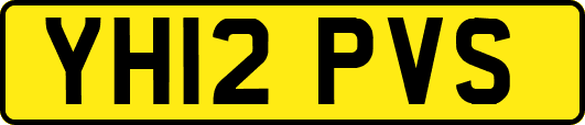 YH12PVS