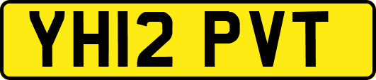 YH12PVT