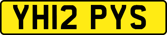 YH12PYS