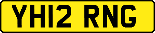 YH12RNG
