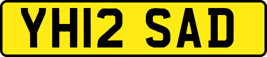 YH12SAD