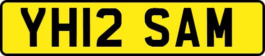 YH12SAM