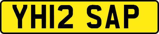 YH12SAP