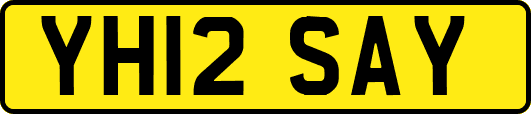 YH12SAY