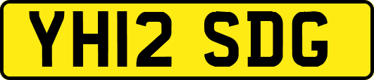 YH12SDG