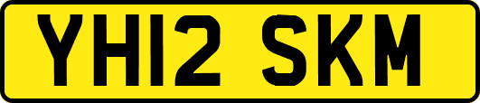 YH12SKM