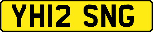 YH12SNG