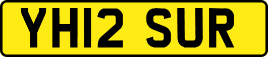 YH12SUR