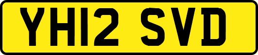 YH12SVD