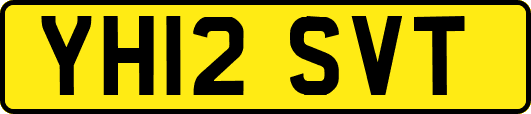 YH12SVT