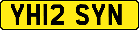 YH12SYN