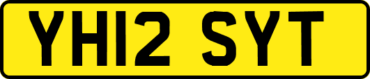 YH12SYT