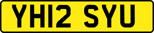 YH12SYU