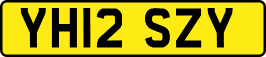 YH12SZY