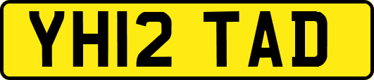 YH12TAD