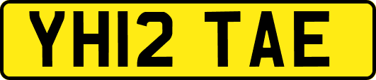 YH12TAE