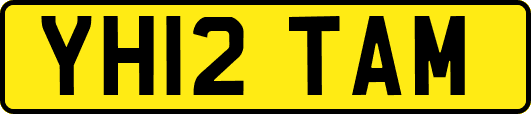 YH12TAM