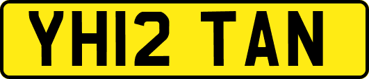 YH12TAN