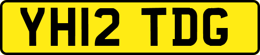 YH12TDG