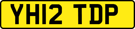 YH12TDP