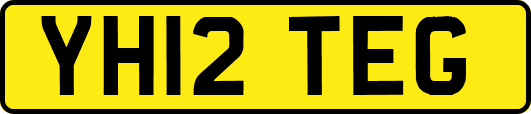 YH12TEG